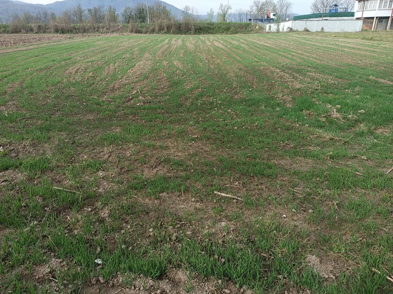 ZOB-13-APRIL.jpg