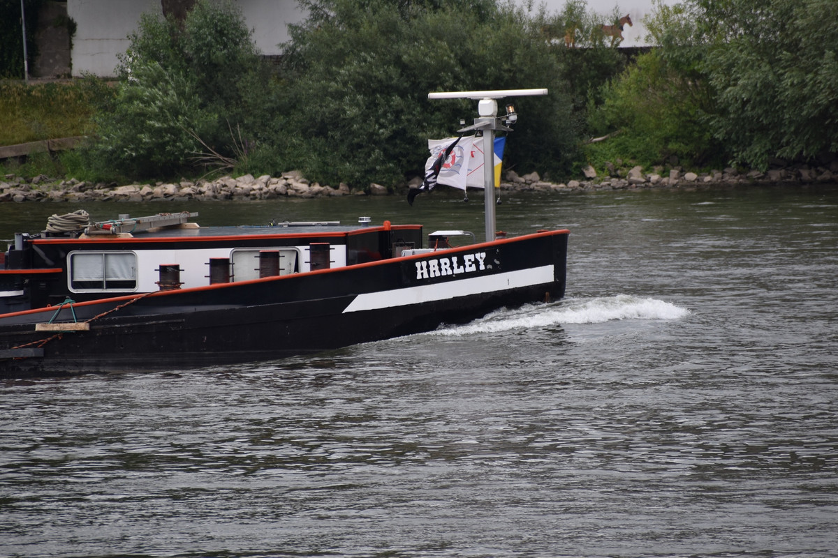 2022.06.27a4a Schiff Harley (1940x1293)