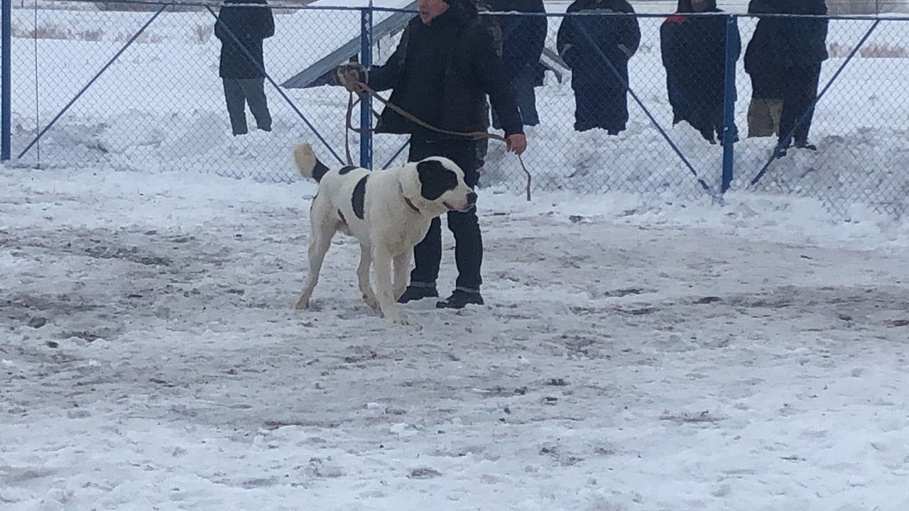 FEA228DD-5251-4B31-8258-4E1250496A61