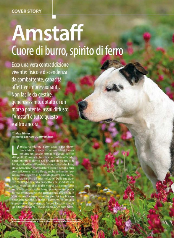 Il M C Mar-Apr 2024 (3)