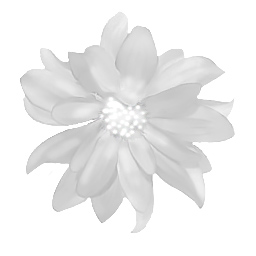 MIS-VN18-Fit9-Flower-Petals-Tex2