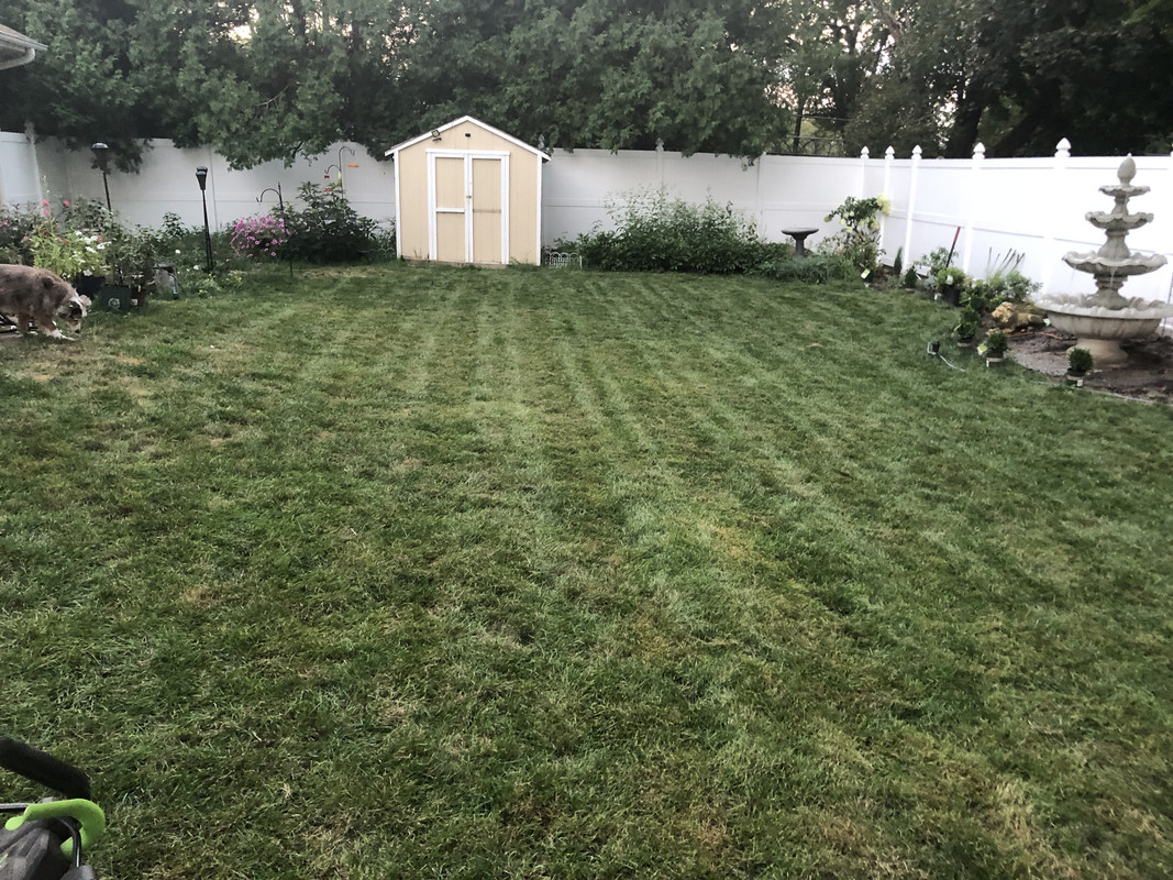 4B6B7341-2135-44A3-A2E5-326BB034EA2A