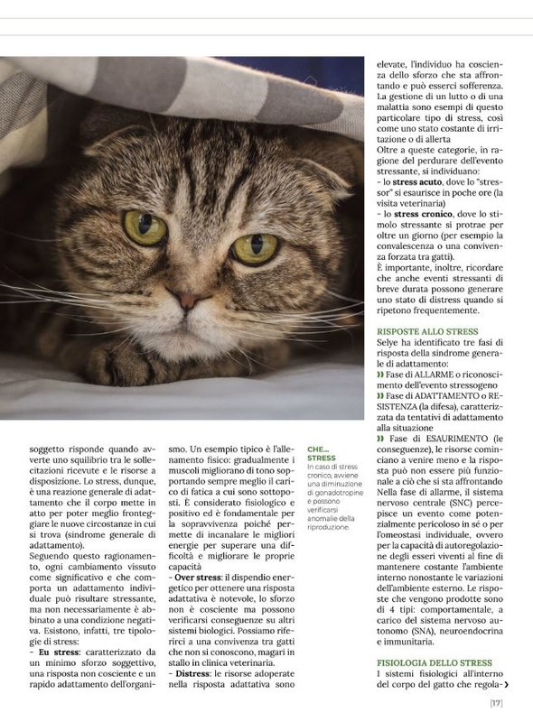 Ga Ma Ago-Set 2022 (2)