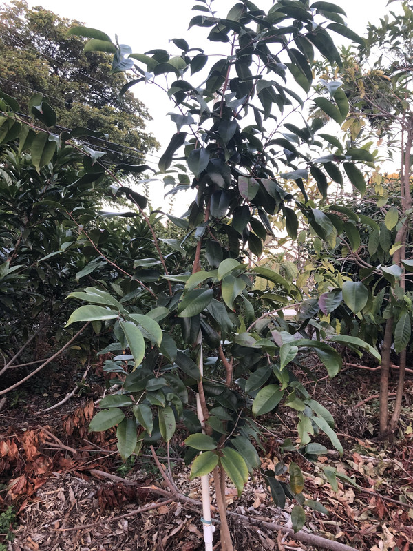 CCB9B92E-6C02-42AC-9592-C9D5EEC70811