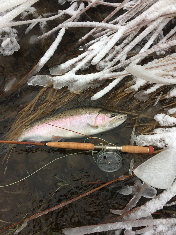 D47FC278-5DBF-4135-9D11-35A4BBA3F568