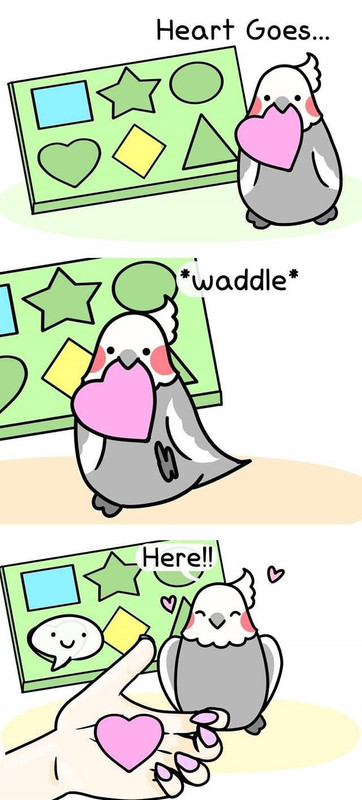 birb2.jpg
