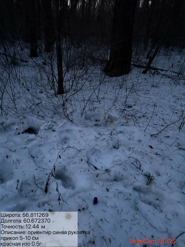 photo 11 2026 03 25 17 10 31