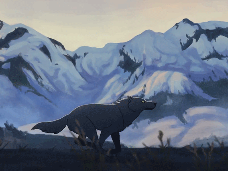 Wolf
