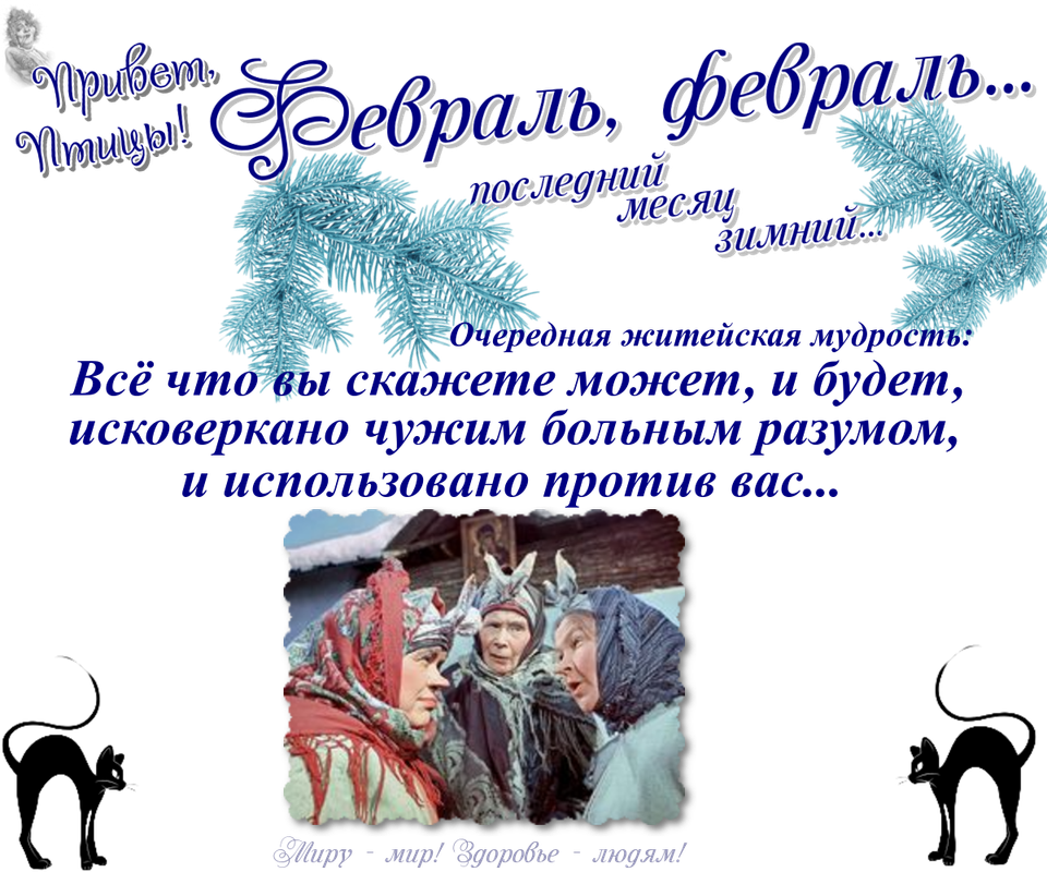 https://i.postimg.cc/QdZh4HrW/20-02.png