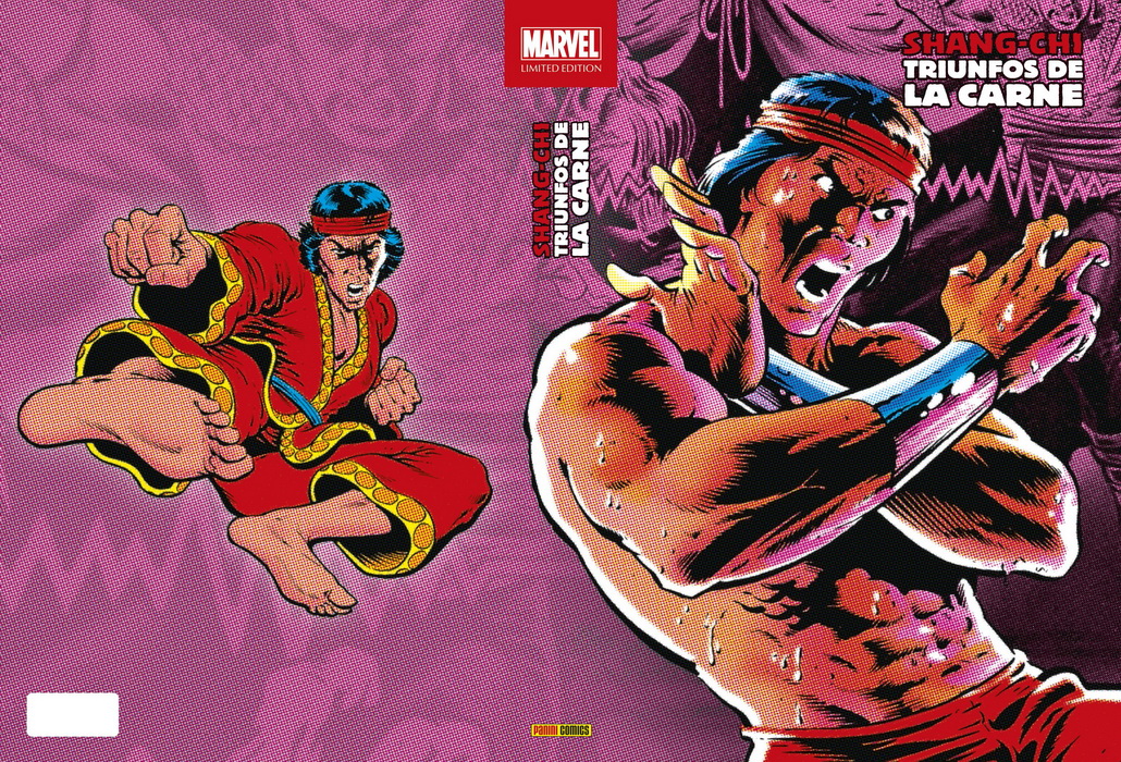 COVER-SHANG-CHI-N5-APROS-copia-1