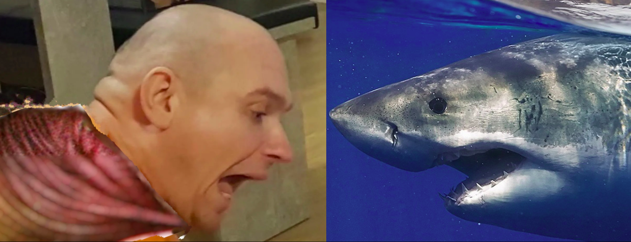 [Image: jaws4_zalupa.png]