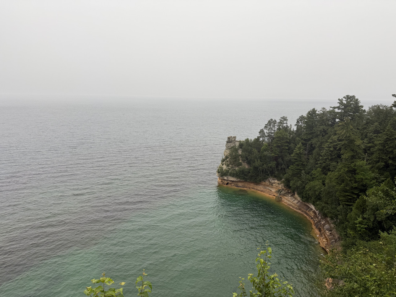 IMG-7802.jpg