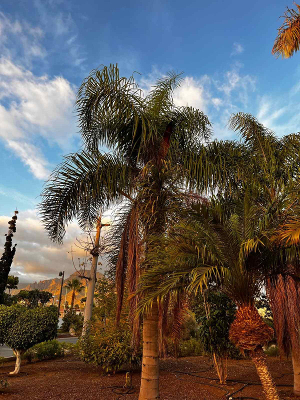 IMG-a66dd7fa71200cd60e343928bf203692-V