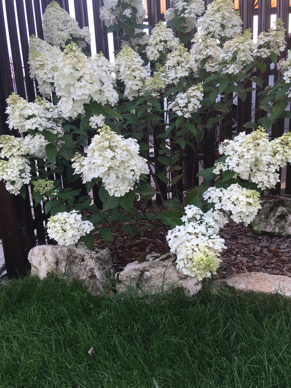 726A11E3-8E2B-4C51-8AFC-E584A014571E