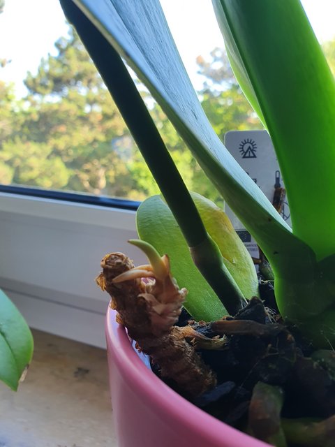 [Image: 20200613-090150.jpg]