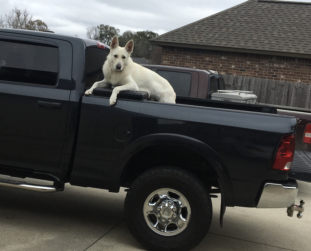 BB8EA447-96BC-471D-93F7-AE3F9AD6AEC3