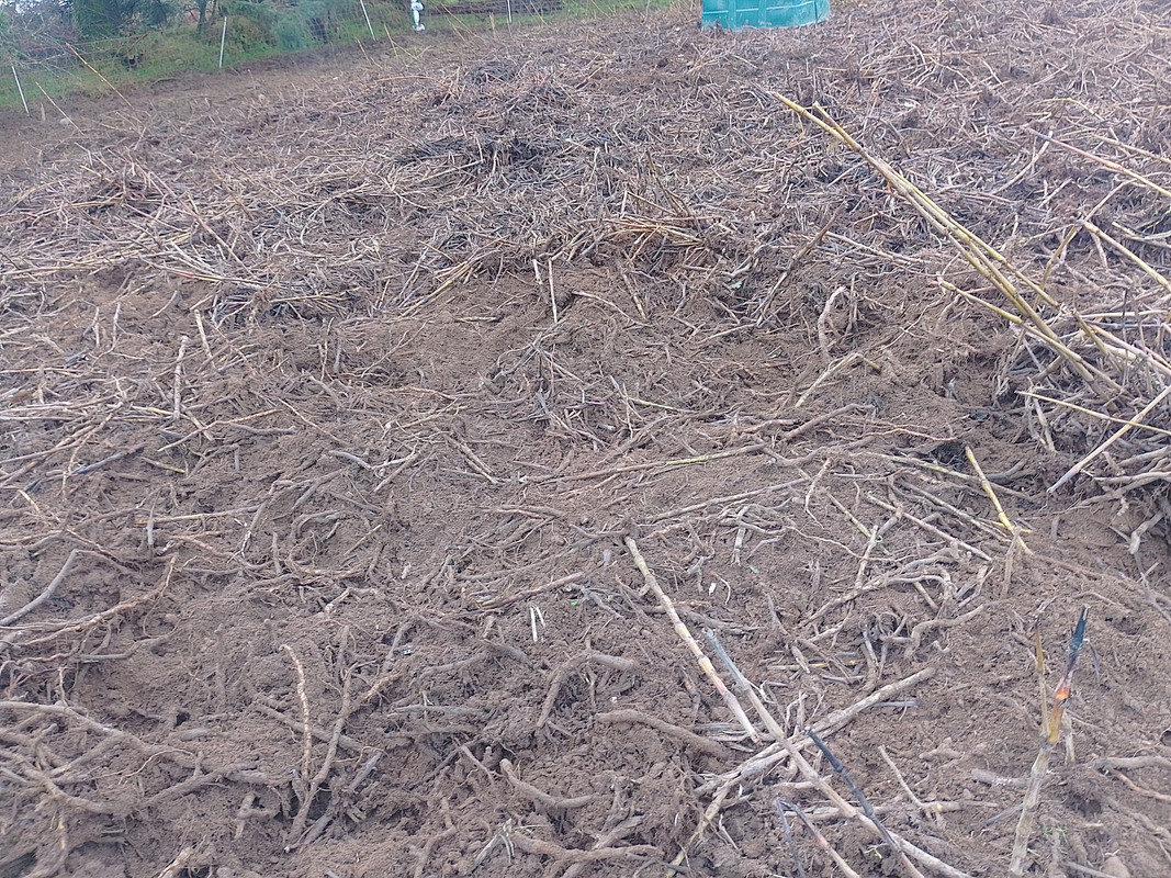 IMG_20231008_101851_HDR