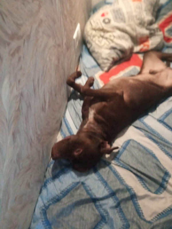 297D38E6-1F62-40A8-8E03-A22EE4413BEE