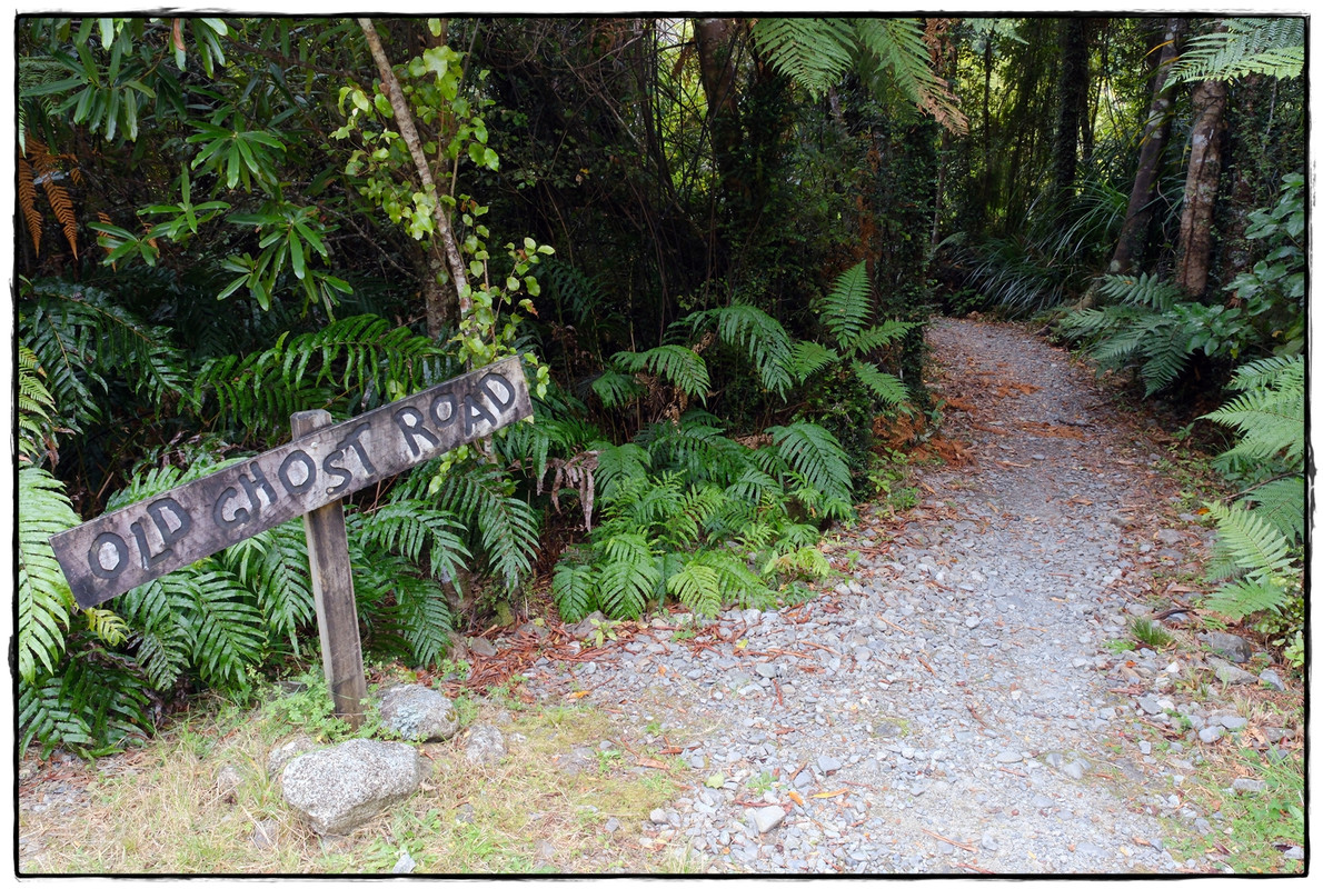The Old Ghost Road (marzo 2024) - Escapadas y rutas por la Nueva Zelanda menos conocida (79)