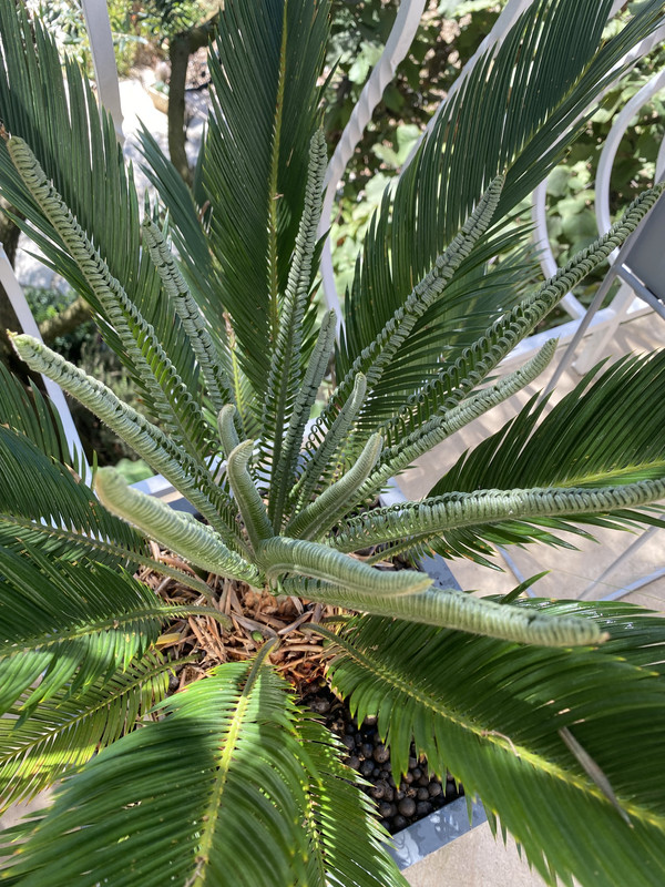 AB0BE5DD-8511-47CF-AA18-82DFCA84905F