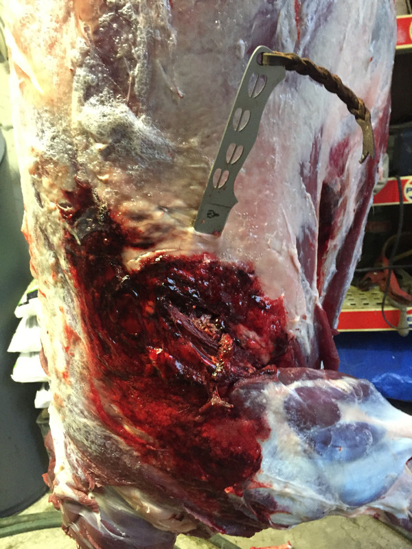 C192DFCF-CBE4-4D78-B867-505918DCA5E1