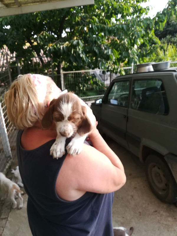 WhatsApp Image 2018-07-03 at 19.41.32 (3)