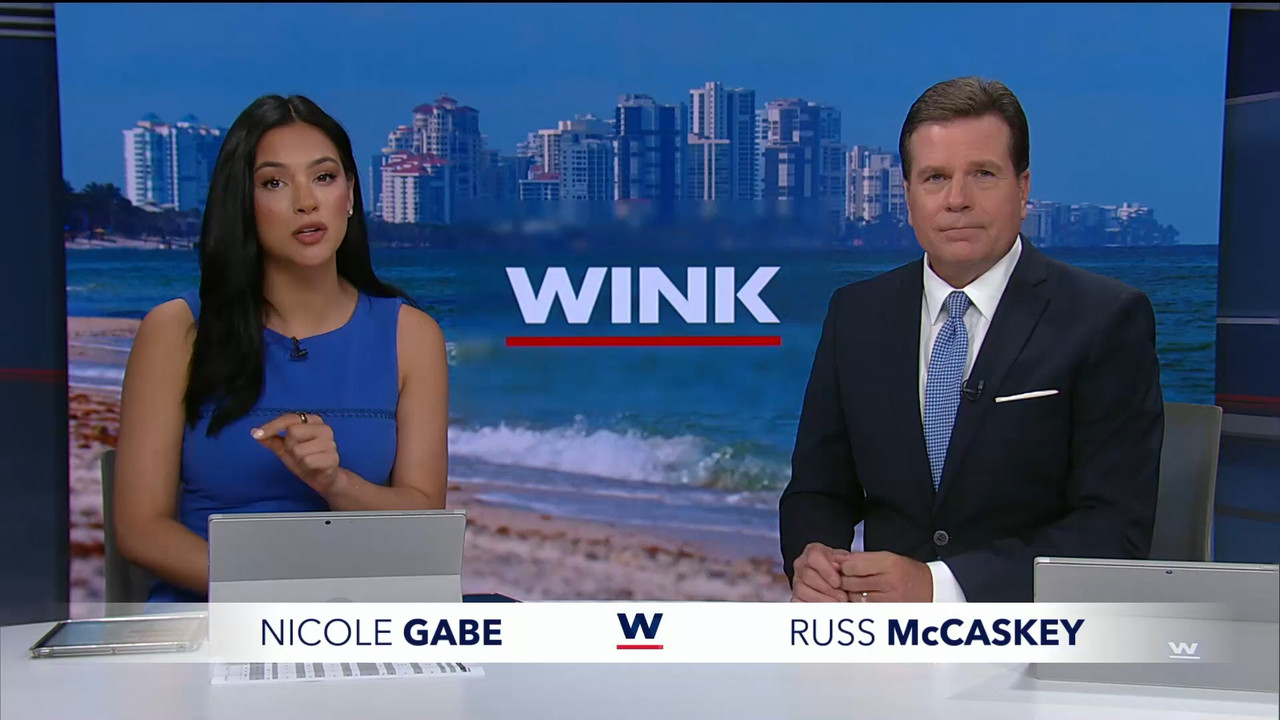 04.05 - 20.00.01 - WINK News at 3pm.   Category  News.      EPG Credi....ts_snapshot_00.46.52.713