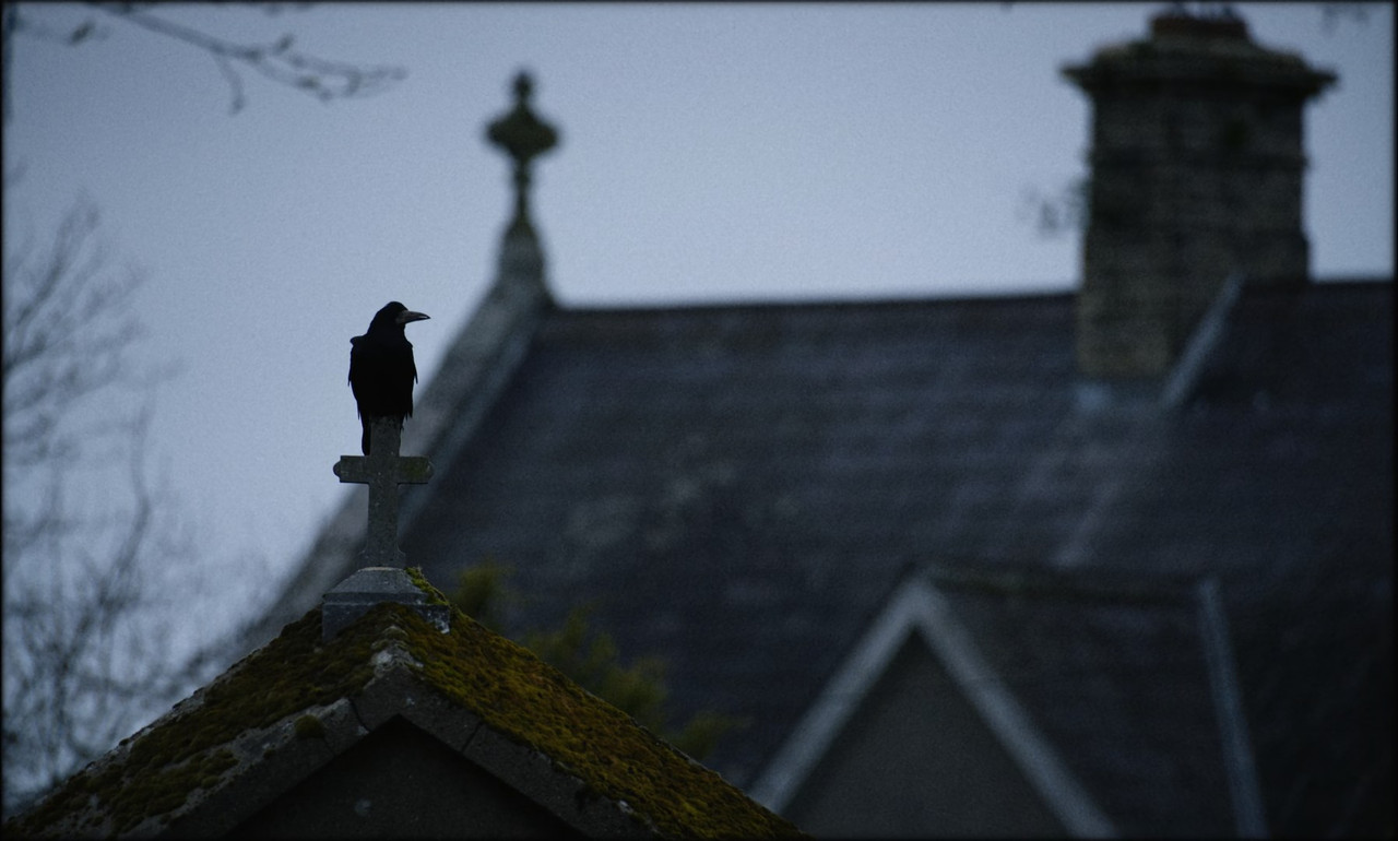 Small Things like These t00 new out (1) mkv snapshot 02 20 717