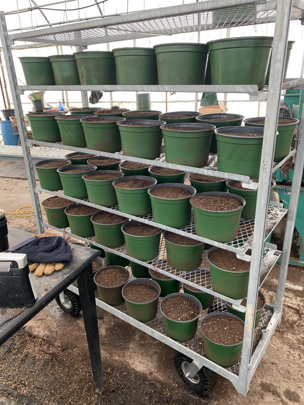 E837A313-3CC5-4B9C-A2A4-7F1FC0527793