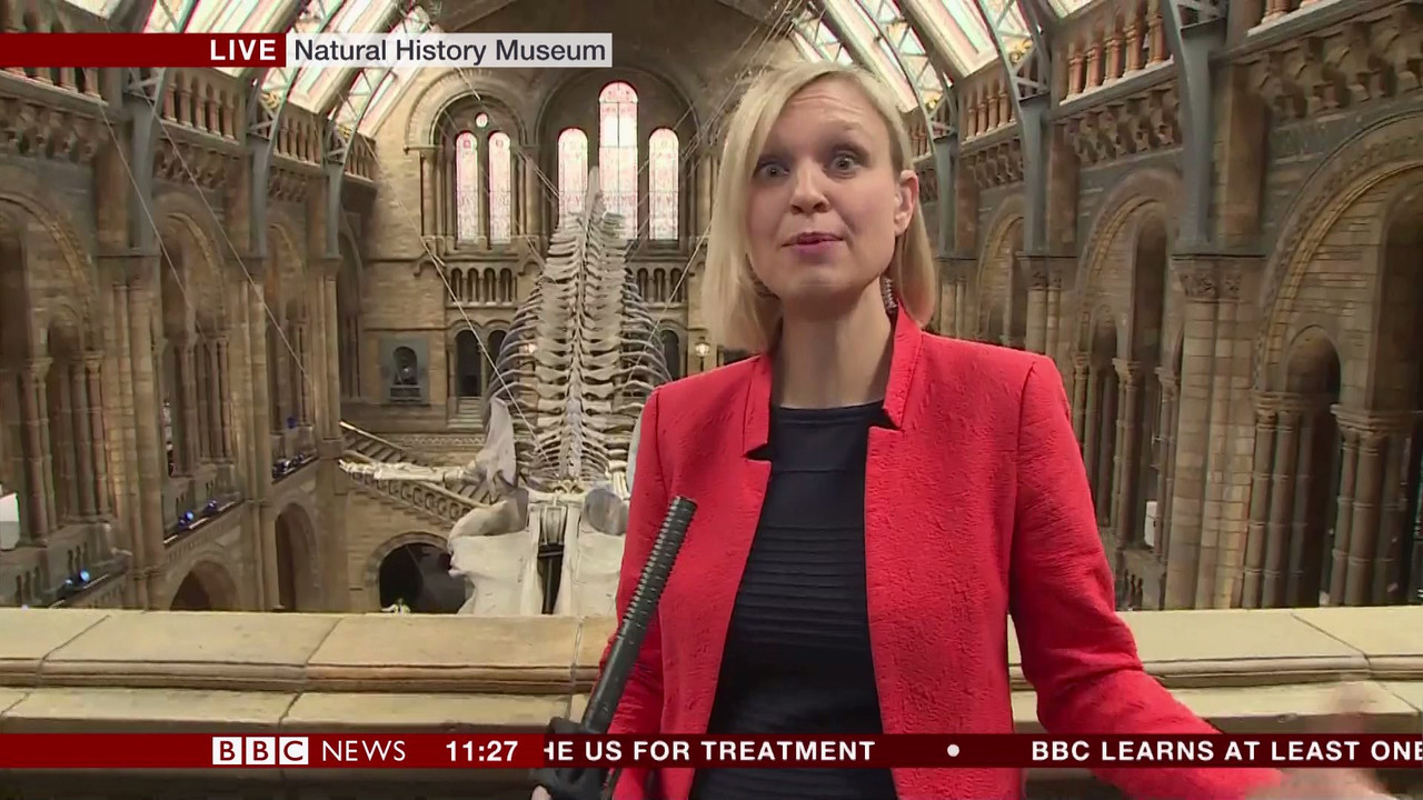 BBC Newsroom Live_20170713_11001130.ts_snapshot_