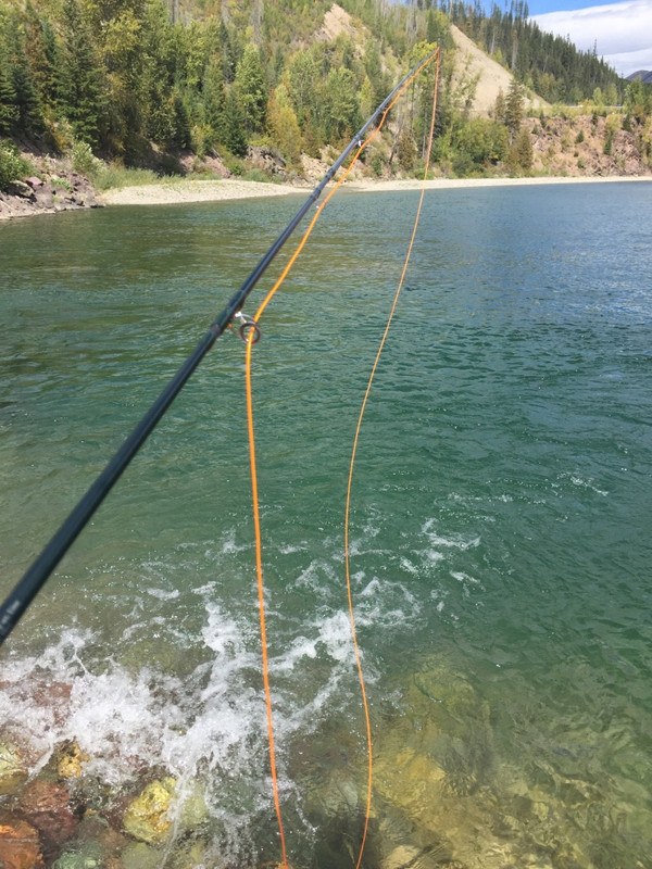 9AD88487-5FFB-40F9-A453-672879E17036_1_105_c