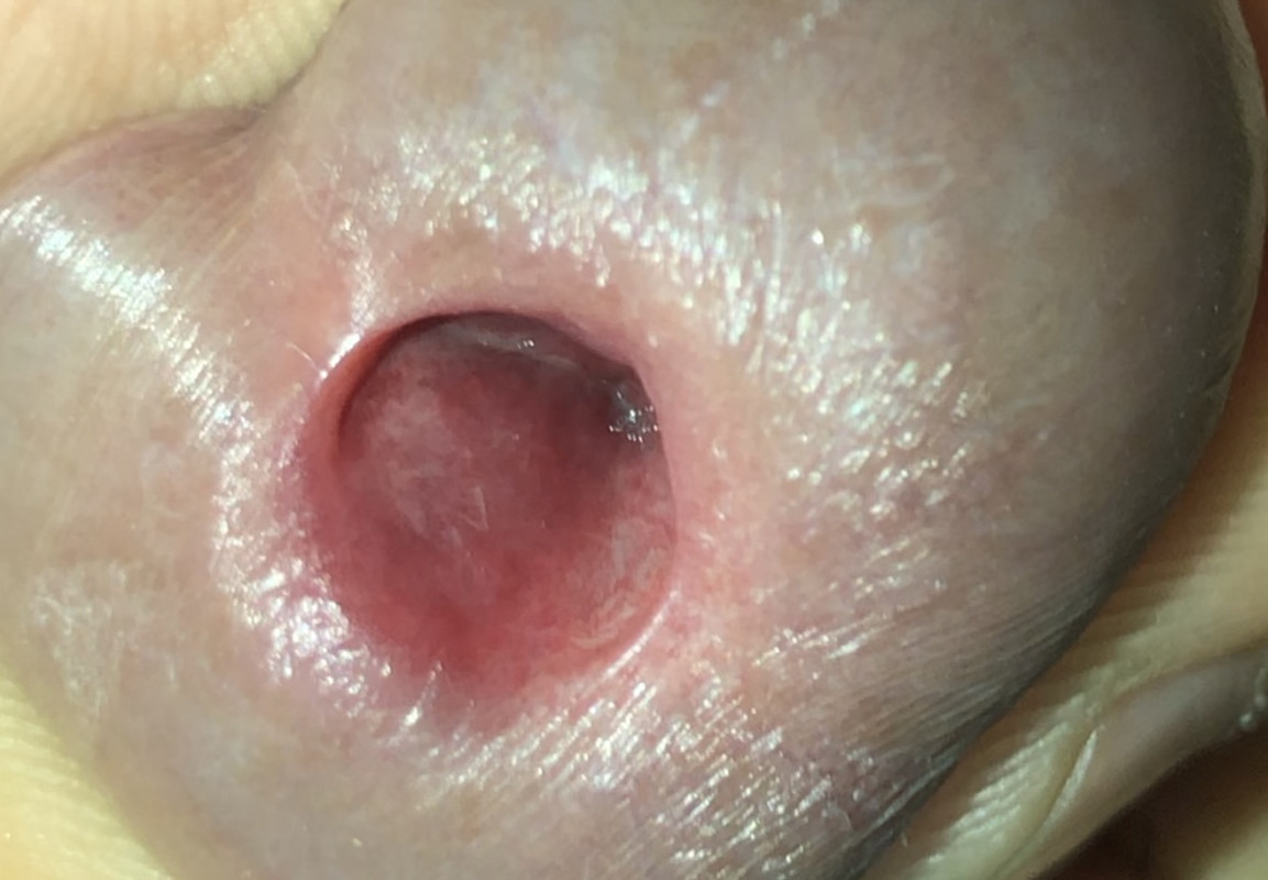 F2213692-7B3C-4A5E-8CFB-49718180ED2A