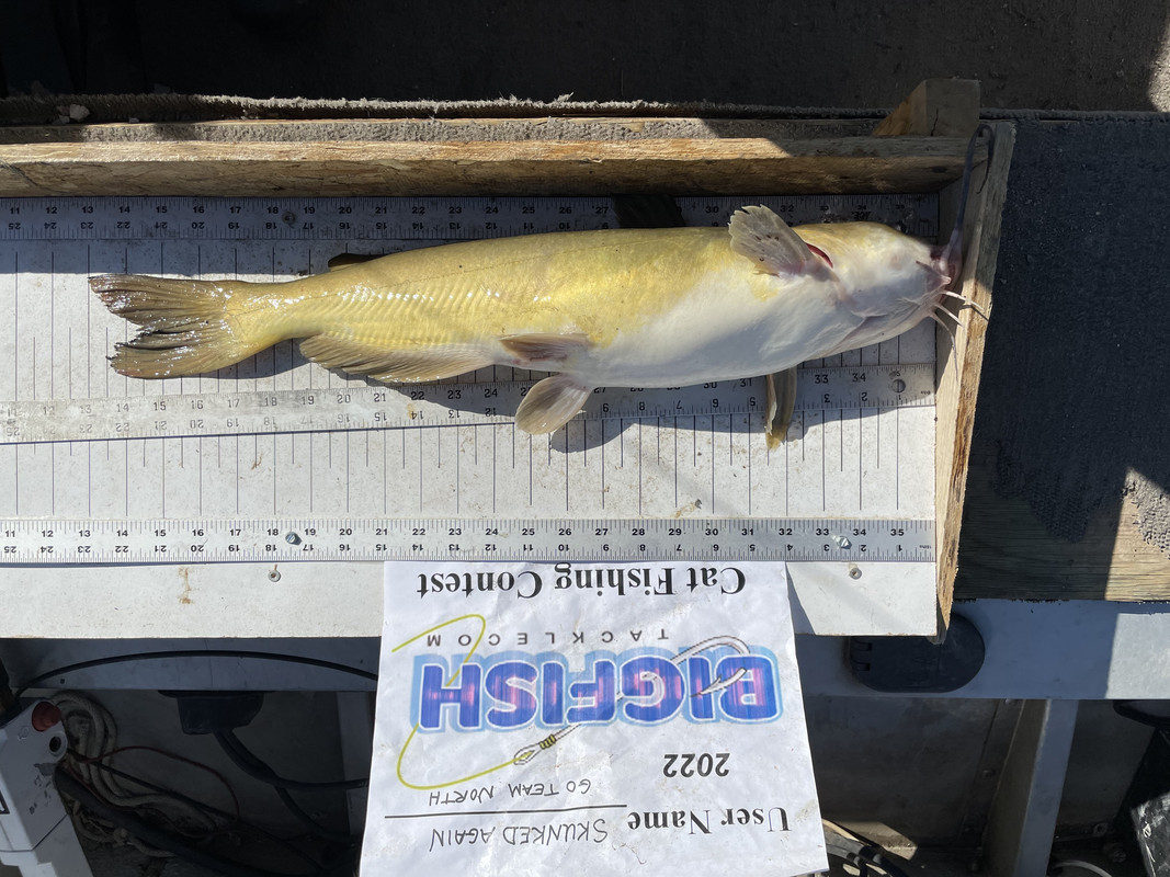 0B1CF300-2F6F-4058-A3D6-C25E4C08763F