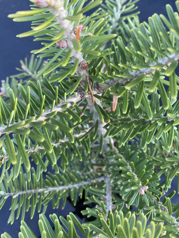 4F09DD16-6F7E-4222-973A-D8640AFCE342