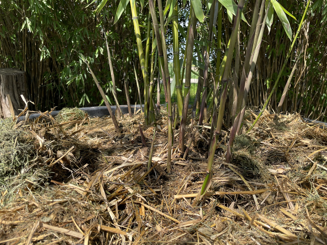 4918F22F-F7D5-4155-B009-3B98519DA35E