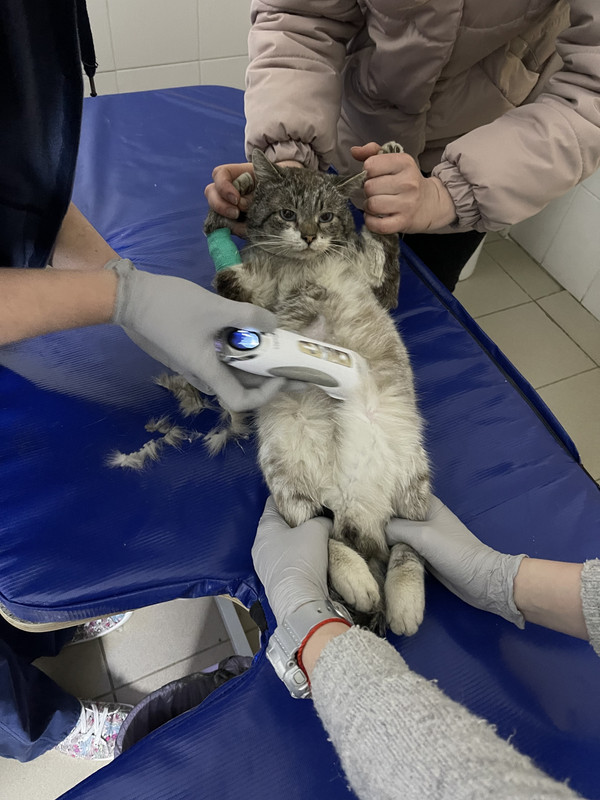 B2531CA6-9C14-4AD9-BECC-A590CEF146DC