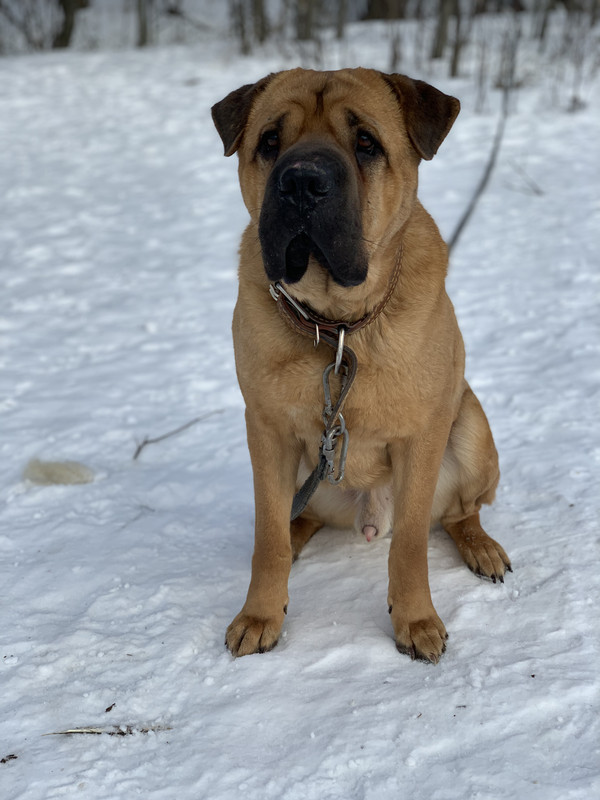 86C945AC-2BCC-4275-9CC1-6C57C6F159D4