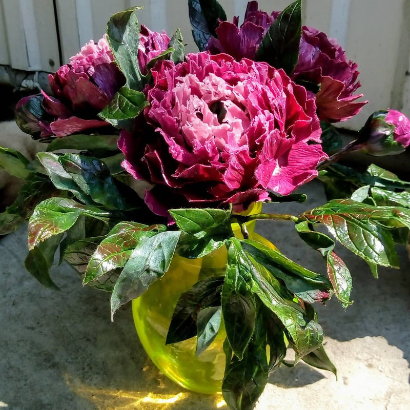 IMG_20180713_150257_138