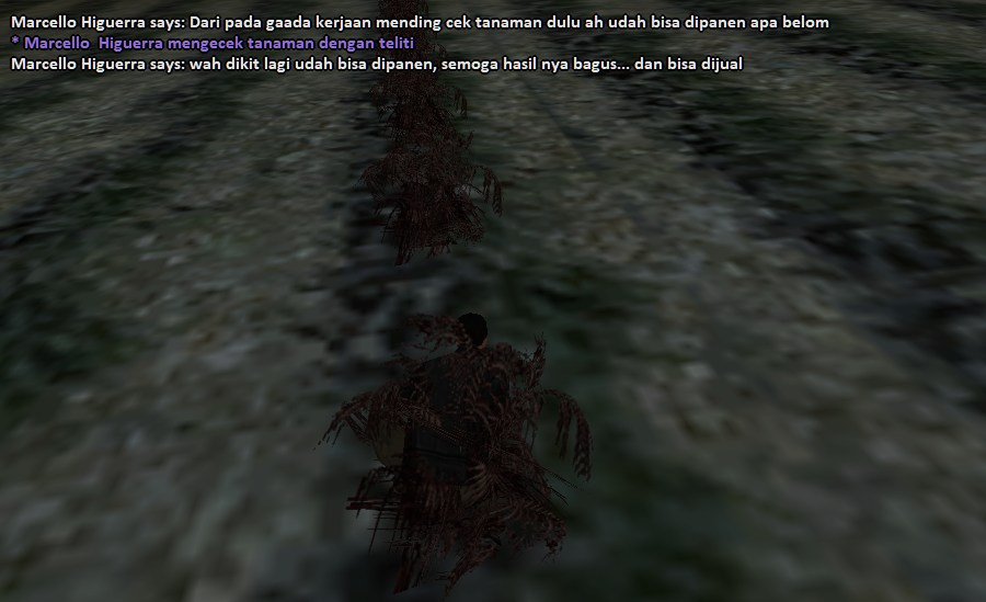 t.png