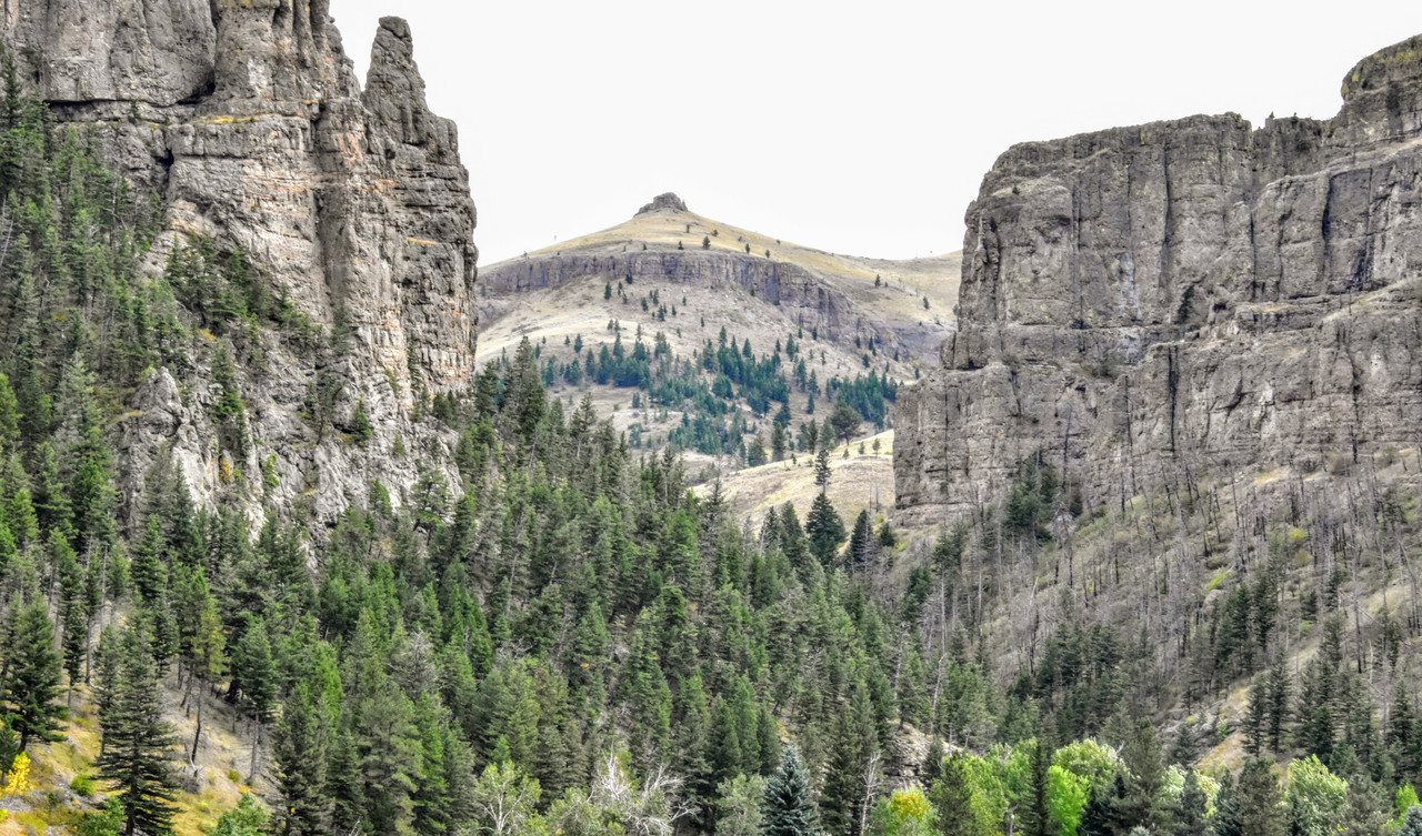 DSC_0016 (1)