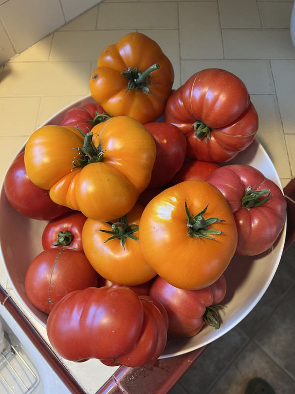 E060EF0B-89BD-46F9-9047-16F9A66B4469