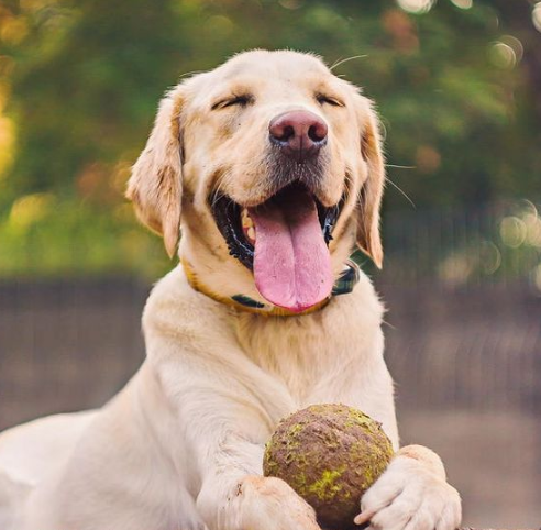 David, 58