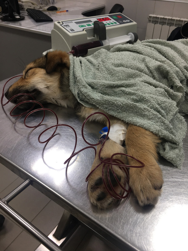 8B1DD64C-9CC3-4399-802A-8345EB24AC79