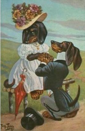 [Image: c7ceff4f426d8bc9281af485e2aa4944-1.jpg]