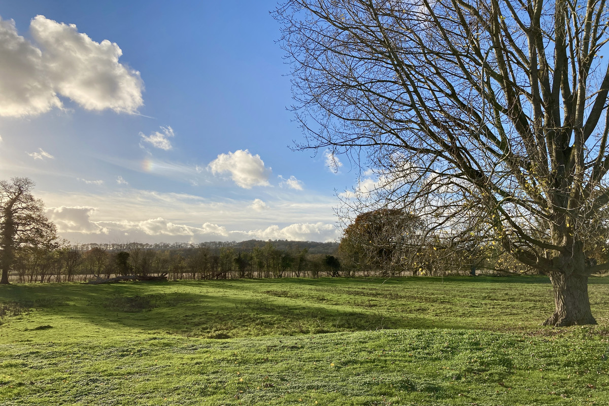 646E4E40-2EA0-42B5-BC4B-CAF5C0A387AE