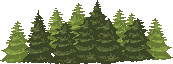 trees trees