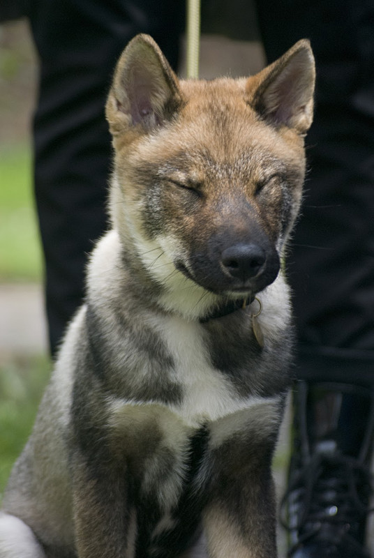 C0DBA6FA-6131-44D1-B379-6EEF5EF10D8A