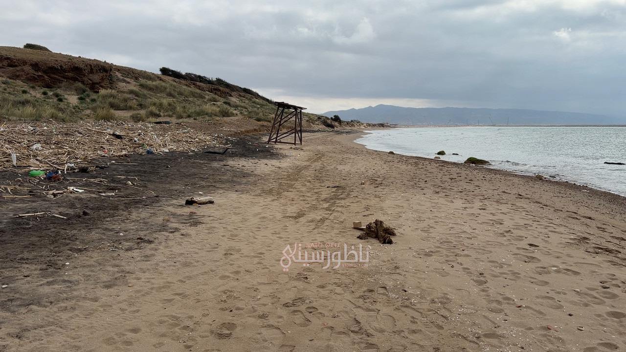 2026-04-26-15-50-IMG-1394-00-00-16-56-Still003