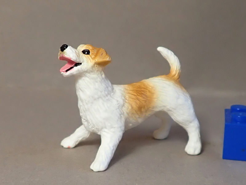 2021 STS Dog Figure of the Year! Eikoh79829-Jack