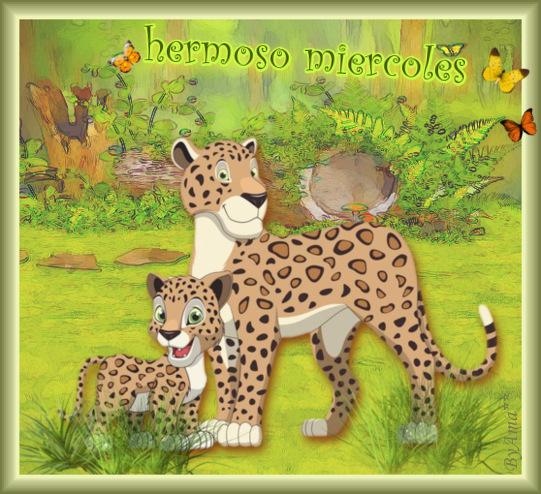 Serie Flia: Madre e Hijo, los Leopardos  Miercoles